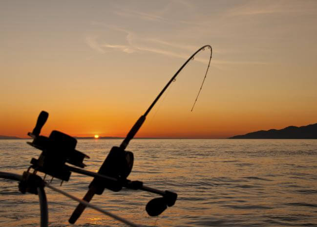 pescar-pescuit-undita