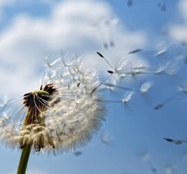 adevaruri momente viata